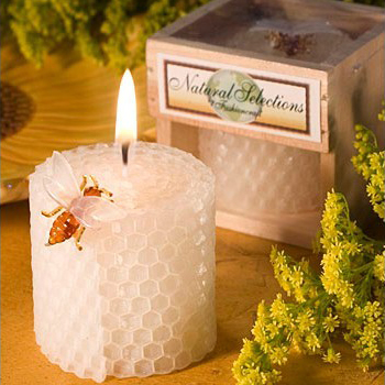 Children's Birthday Party Supp - Soy Wax review and price